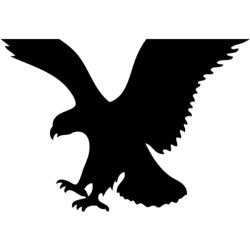 American Eagle Outfitters, Inc.