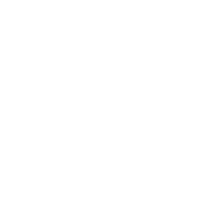 Arbe Robotics Ltd.