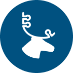 Caribou Biosciences, Inc.