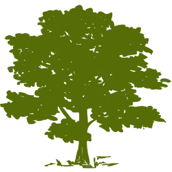 Community Health Systems, Inc.