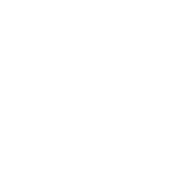NetApp, Inc.