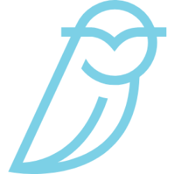 Blue Owl Capital Inc.