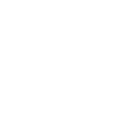 V.F. Corporation