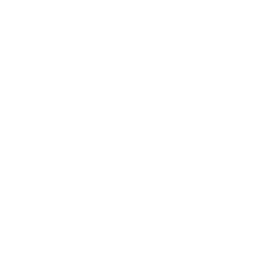XPeng Inc.