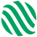 BDSX logo
