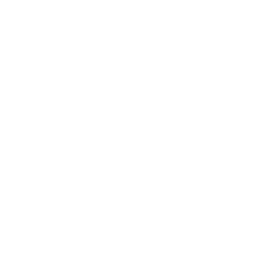 BVS logo