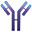 IMVT logo