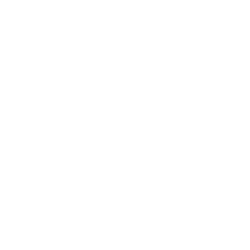 NLY logo