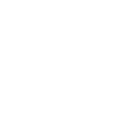 WSC logo